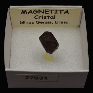 MAGNETITA Cristal (Minas Gerais, Brasil) #27931 / Magnetite - Picture 1 of 1