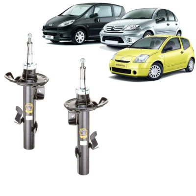 2 AMMORTIZZATORI ANTERIORI CITROEN C2 C3 PLURIEL PEUGEOT 1007 DAL 2002 AL 2010 - Immagine 1 di 2