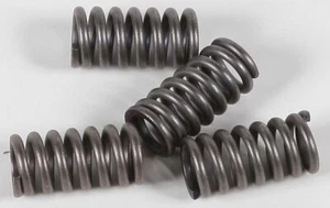 EBC CSK Clutch Spring Kit For Honda GL650/I Silver Wing/Interstate 1983 CSK12 - Picture 1 of 3