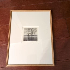Shigeki Tomura "MINAMO NI UTSURU V" Etching Signed Framed ED60 (2000) - Picture 1 of 3