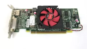 Dell AMD Radeon HD6450 1GB GDDR3 DVI Displayport Low Profile Video Card 0WH7F - Picture 1 of 1
