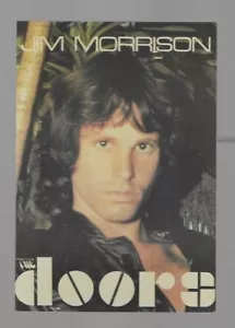 Postal de colección de The Doors Jim Morrison 1991 música coleccionable - Imagen 1 de 2