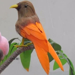 Fake Artificial Small Bird Realistic Taxidermy Natural Home Decor Toy Gift 12cm - Picture 1 of 5