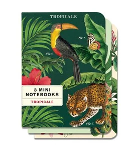 Cavallini - Juego de 3 mini cuadernos - tropicales - interiores forrados, en blanco y gráficos - Imagen 1 de 7