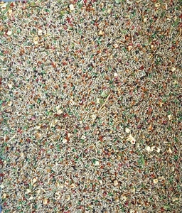 Kanarienroller Cuisine - Lebensmittel Samen für Kanarienvögel (2 Pfund) - Bild 1 von 2