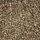 HEMP SEEDS WHOLE CERTIFIED ORGANIC VEGAN FOOD 200Grams 