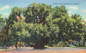 Lover's Oak Braunschweig, Georgia Vintage PC - Bild 1 von 2