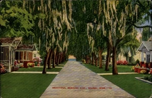 Biloxi,MS Beautiful Benachi Ave. Harrison County Mississippi Postcard - Picture 1 of 2
