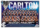 LAMINATED Carlton blues finalist AFL FOOTBALL TEAM POSTER, CHEAPEST BARGAIN 1