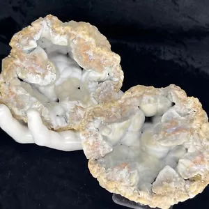 Botryoidal Geode Pair 4-1/4” Natural Chalcedony Micro Quartz Whole Specimen USA - Picture 1 of 8