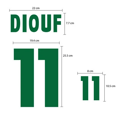 DIOUF #11 Senegal Home World Cup 2002 FLOCK VELVET NAME NUMBER PRINT - Image 1 of 4