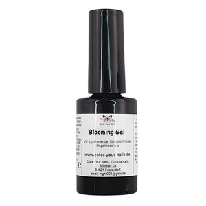 5ml Blooming Gel in P inselflasche für zauberhafte Nailart Effekte, TOP NAILART - Bild 1 von 8