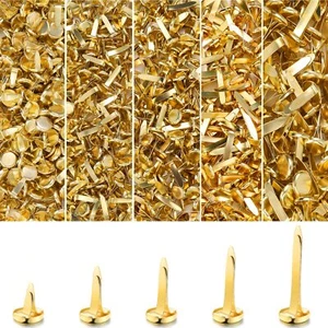 1000Pcs Mini Metal Brads Split Pin Brass Paper Fasteners for Crafts Scrapbooking - Picture 1 of 7