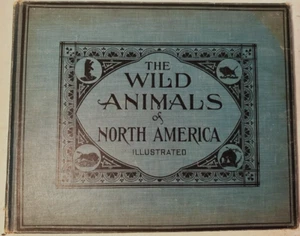 The Wild Animals of North America- Illustrated - EDWARD KNOBEL- 1918- SHIPS FREE - Bild 1 von 9