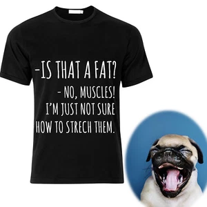 Novelty Funny Joke Quote Men's Printed T Shirts TEE Top Clothes Gift Fat Muscles - Picture 1 of 3