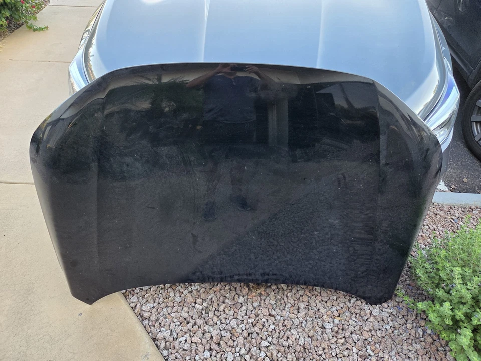 2022 - 2025 HONDA CIVIC FRONT HOOD BONNET COVER PANEL OEM BLACK_NH731P - Image 1 of 3