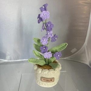 Stricken Häkeln Blumen Topfpflanzen Häkeln Vergissmeinnicht Lila - Bild 1 von 8