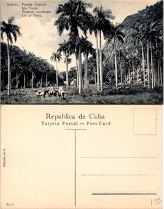 Kuba Postkarte Isla Pinos Tropische Landschaft und Pferde - Bild 1 von 1