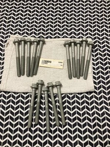 Genuine OEM GM 11569648 Cylinder Head Bolts GMC Chevy Lot of 15 - Picture 1 of 2