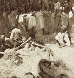 Cetiosaurier Dinosaurier entdeckt in Tendaguru Tansania 1931 Foto Artikel E497 - Bild 1 von 3
