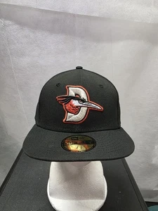 Nuova con etichette Delmarva Shorebirds Road nuova epoca 7 1/8 MiLB - Foto 1 di 9