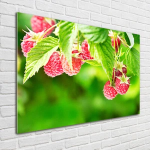 Tulup Glass Print Wall Art Image Picture 100x70cm - Raspberries in the garden - Picture 1 of 5