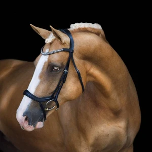 'Mila' Anatomic Leather Bridle - Foto 1 di 11