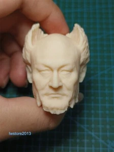 1:12 Bear Man Warrior Head Sculpt Carved For 6" Male Action Figure Body Toys - Picture 1 of 8