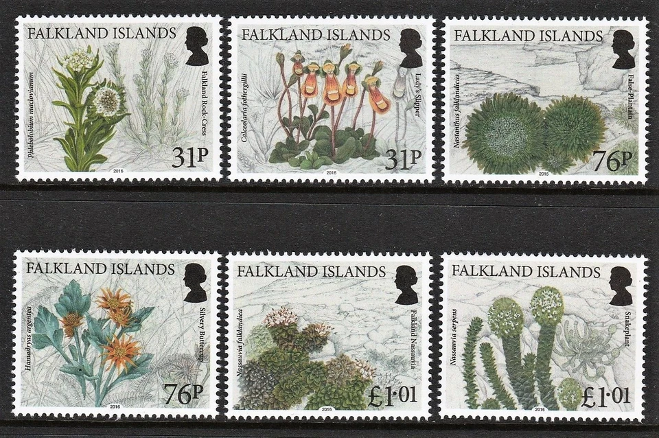 Islas Malvinas 2016 plantas endémicas conjunto de 6 sg.1353/1358 mnh sin montar como nuevo Foto 1 de 1