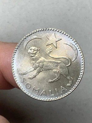 r78_227) ROMA SOMALIA - A.F.I.S. (1950-1960) - SOMALO  1950 - Immagine 1 di 2