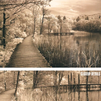 36W"x24H" TAKE MY LEAD II by ILY SZILAGYI - SEPHIA TONED PHOTO CHOICES of CANVAS - Image 1 of 4