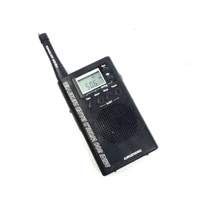 Eton/Grundig Mini 300 Handheld Compact Shortwave AM/FM Radio-Black-Works - Picture 1 of 9