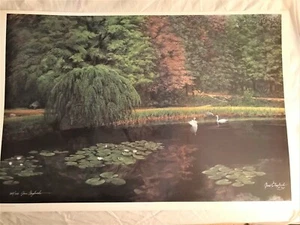 Jimi Claybrook's "SWAN LAKE", New, Limited Edition, COA, Nature - Picture 1 of 3