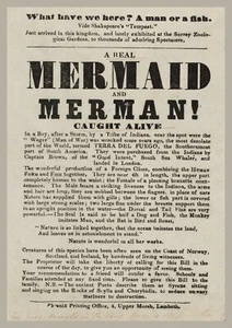 13516. Wanddeko Poster. Zimmer Inneneinrichtung Wohndesign. Meerjungfrau Meermann lebendig erwischt - Bild 1 von 1