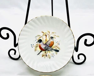 Saucer 3pc Birds Of America Queen’s Series 1 Rosina Bone China Nature Robin VTG - Picture 1 of 8