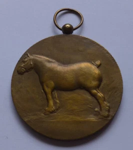 Bélgica, Ville de Huy medalla premio para la cría de caballos - Concours Chevalin - Imagen 1 de 2
