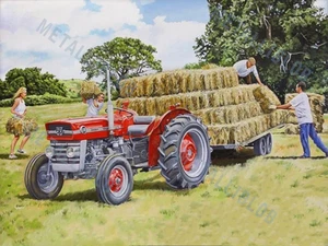 Massey Ferguson 135 Tractor - Poster (A3) - Picture 1 of 1