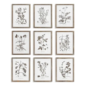 Vintage Cottage Kunstdrucke - Botanische Galerie 9er Set - Bild 1 von 4