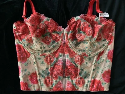 Victoria's Secret 36DD DREAM ANGEL корсет верхний бюстгальтер цветочный вышитая сетка новый с Ярлыками - Изображение 1 из 4