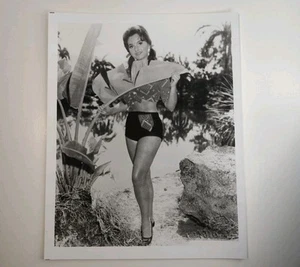 Foto de Dawn Wells como Mary Ann 8x10 en blanco y negro vintage foto de glamour de Hollywood - Imagen 1 de 1