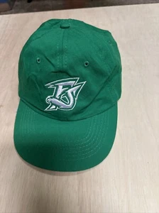 Richmond Flying Squirrels Mountain Dee Hat - Picture 1 of 5