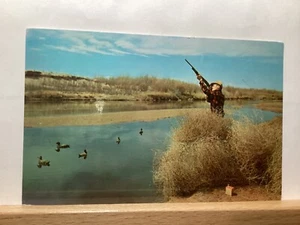 Man Hunting, Ready! Aim! Fire: Dalmatia, PA - Vintage Postcard - Picture 1 of 3
