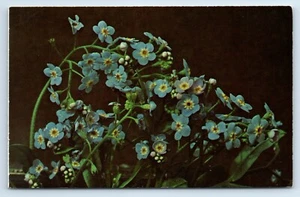 Vergissmeinnicht Alaska Staat Blume ein Alaskan Joe Original Alaska Postkarte - Bild 1 von 2