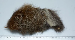 1 Stück echtes Fuchsfell zur Anfertigung von Köder zum Fliegenfischen - Foto 1 di 1