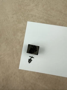 Blocco timbri vintage antico ghianda semi quercia tipografia stampa tipografia taglio - Foto 1 di 6