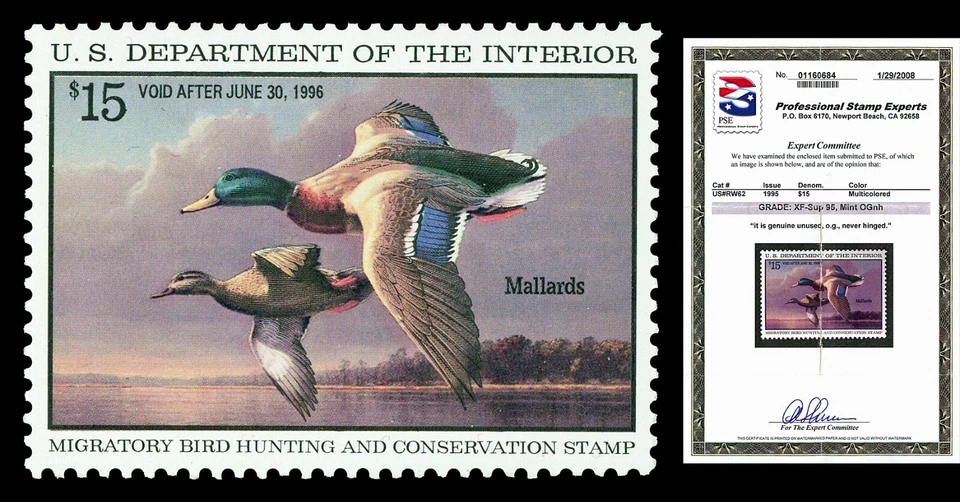 Scott RW62 1995 $15.00 Duck Stamp Mint Graded XF-Sup 95 NH with PSE CERT - Image 1 of 1