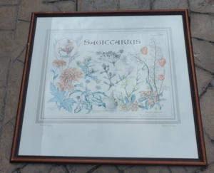 Sagittarius Zodiac Star Sign Print - Framed & Glazed - 51cm x 54cm - Horoscope - Picture 1 of 5