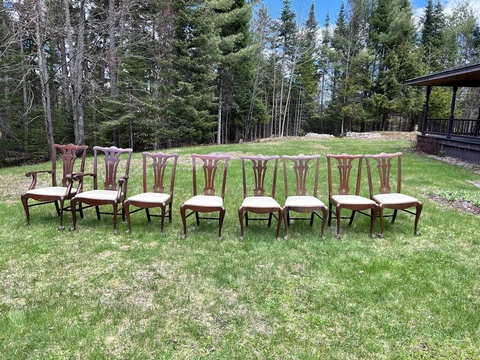 French Walnut Claw Feet Chair Set Cover