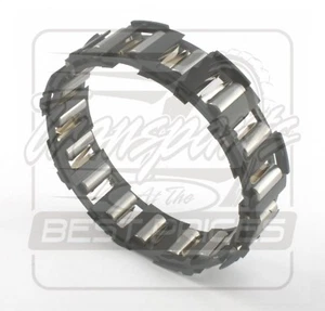4R100 E4OD Transmission Rear Sprag 17 Rollers W/Plastic Cage 5/97-ON - Bild 1 von 1