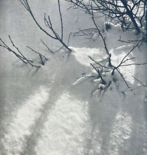 Lovely still life "When Winter Goes" 1933 by Dr Jan Lauschmann